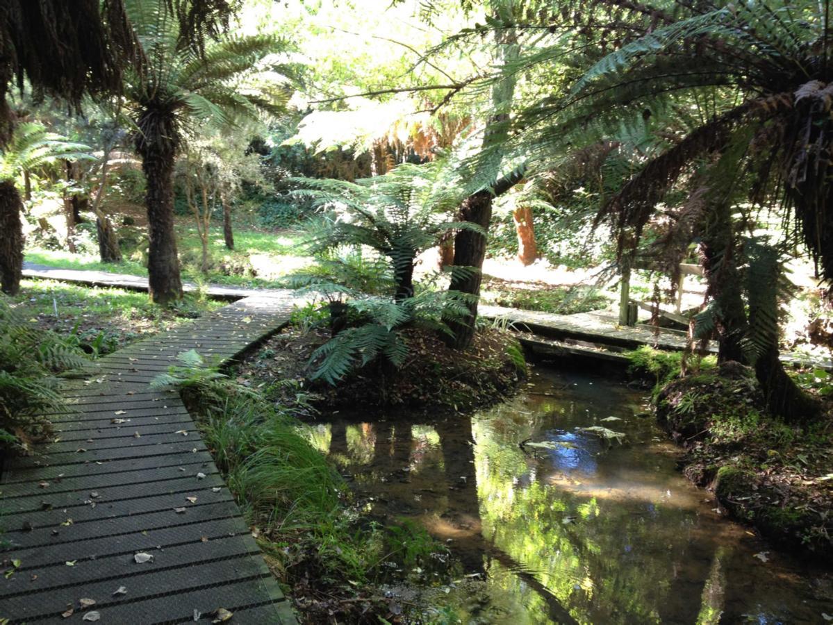 Golden Springs Motel, Holiday Park Rotorua Dış mekan fotoğraf