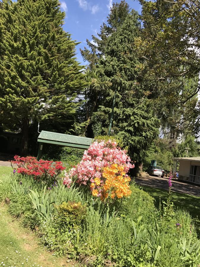 Golden Springs Motel, Holiday Park Rotorua Dış mekan fotoğraf